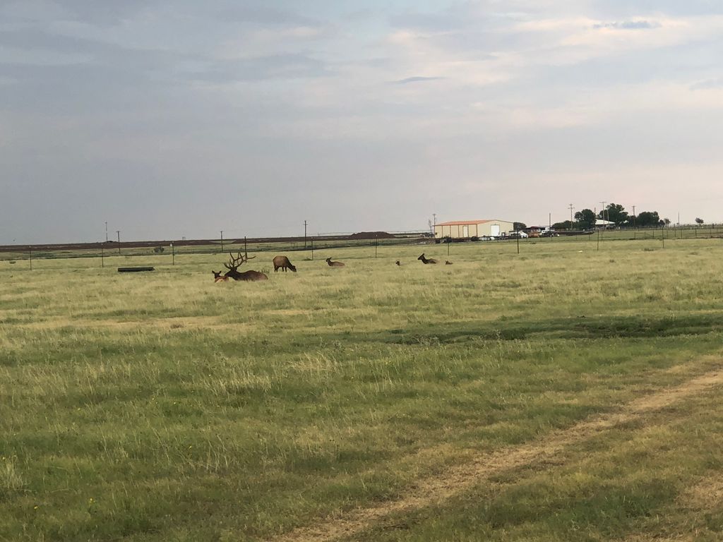 1.63 Acres in beautiful River Falls Community, Amarillo, TX Ultimate