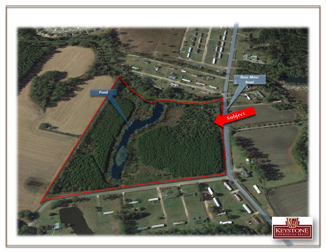 Rose Moss Tract20.50 AcresFor SaleConway, SC. Ultimate Land Listings