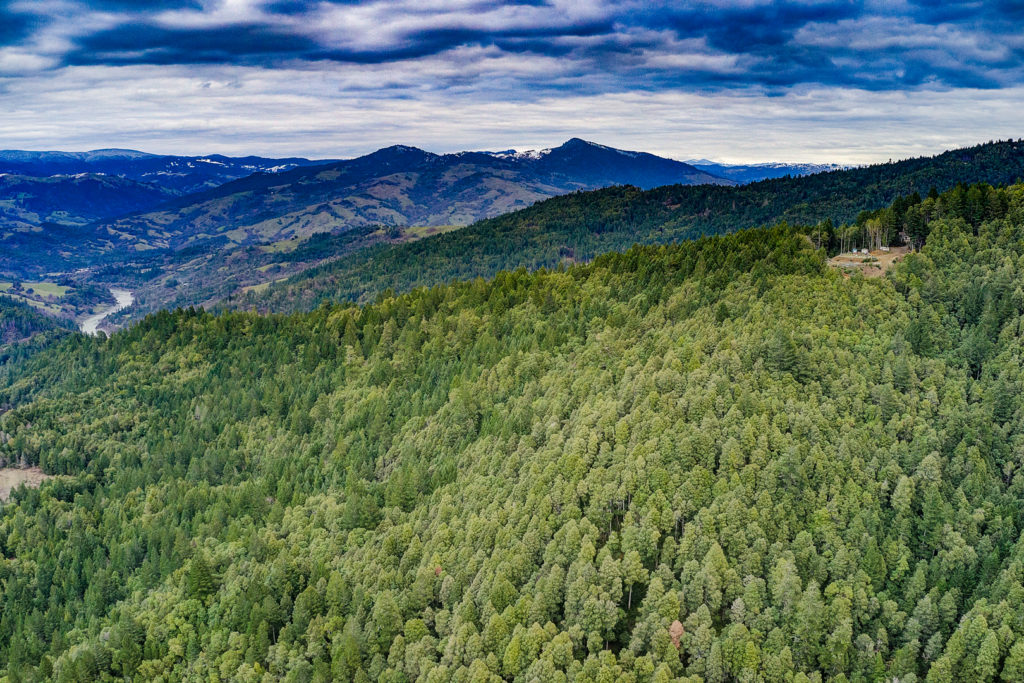 Wooded and peaceful land in Humboldt County, CA! Ultimate Land Listings