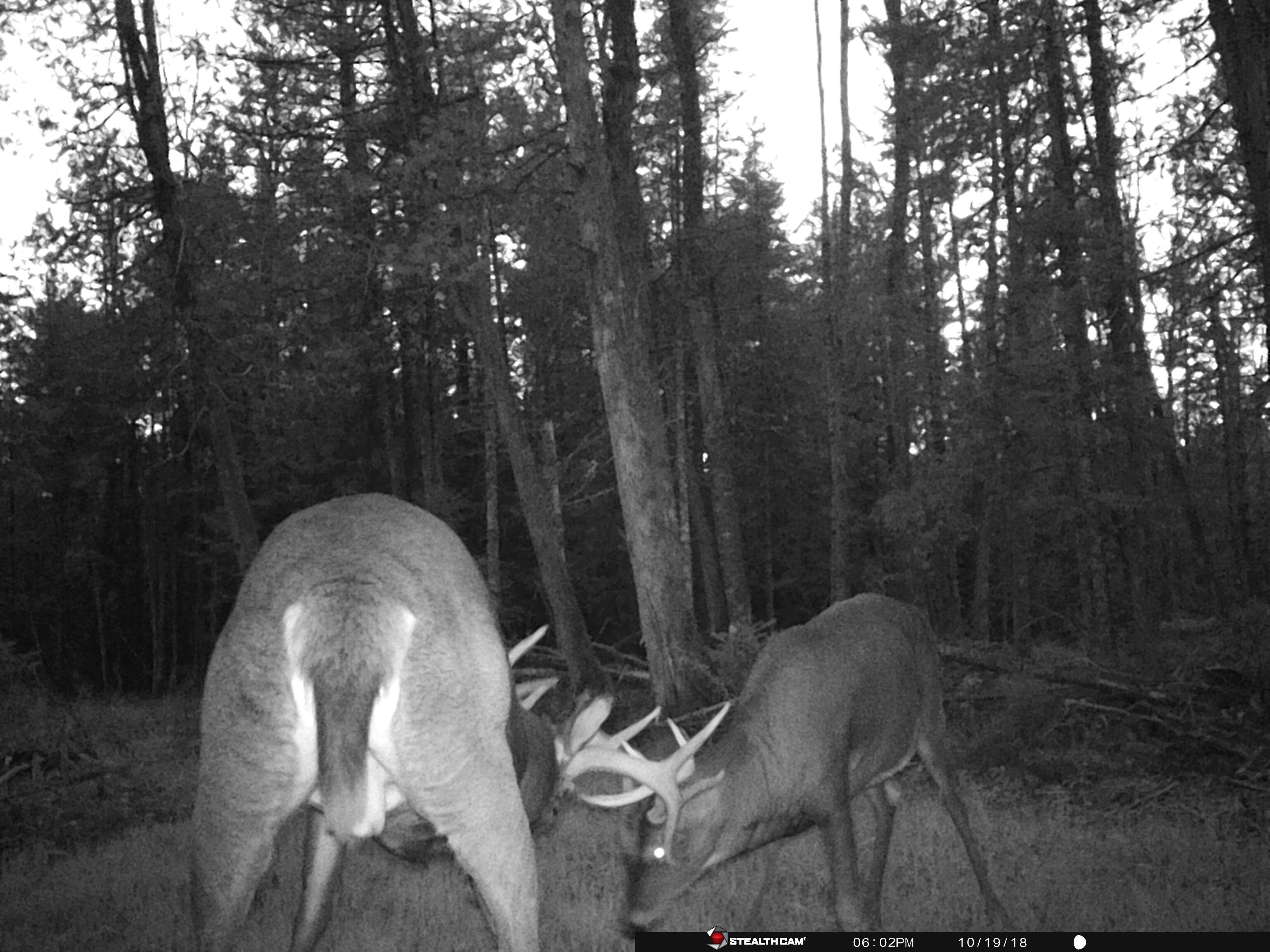 67 Acres for Sale Ultimate Land Listings