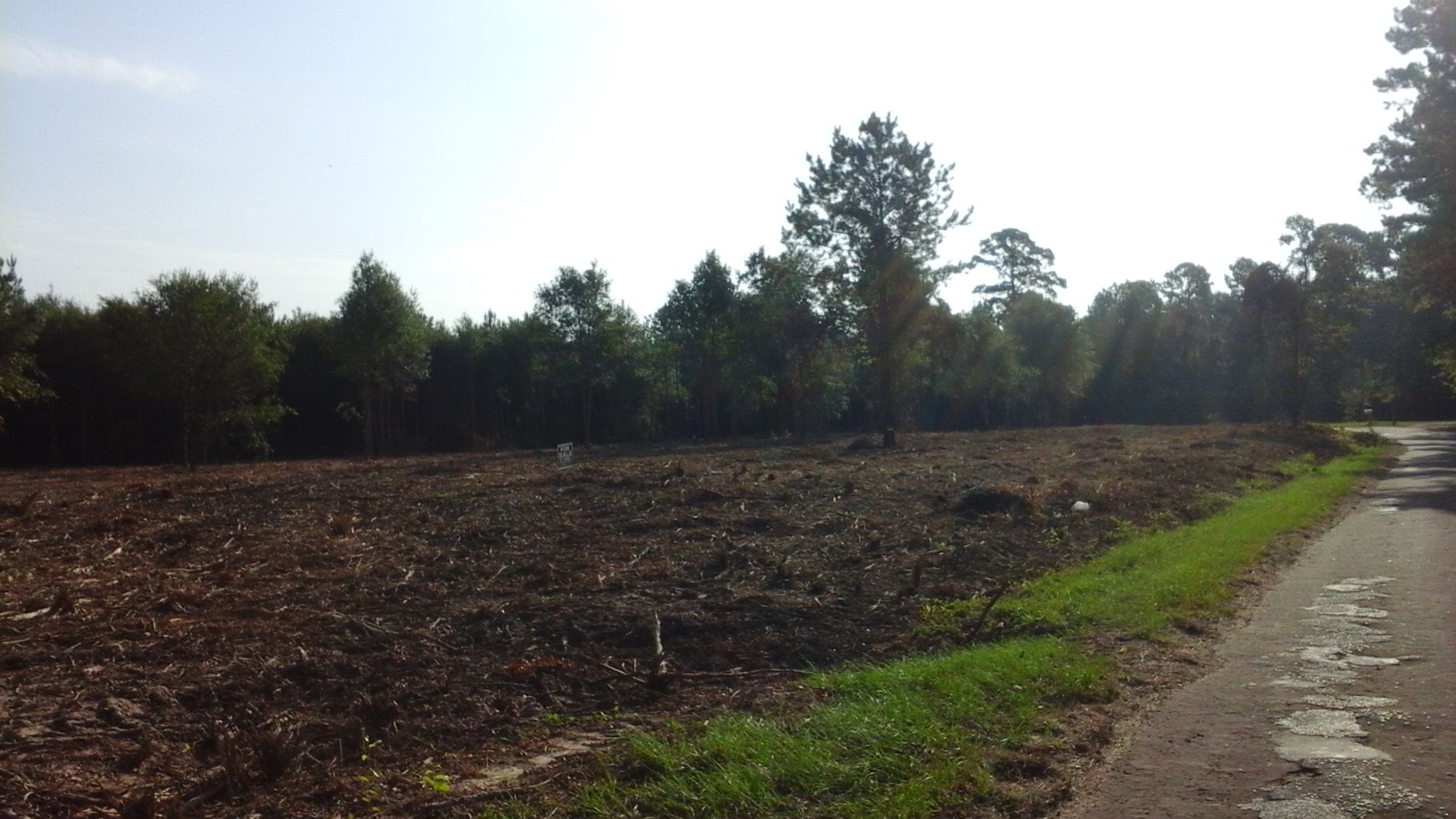 24.5 acres will divide in Spurger,Texas Ultimate Land Listings