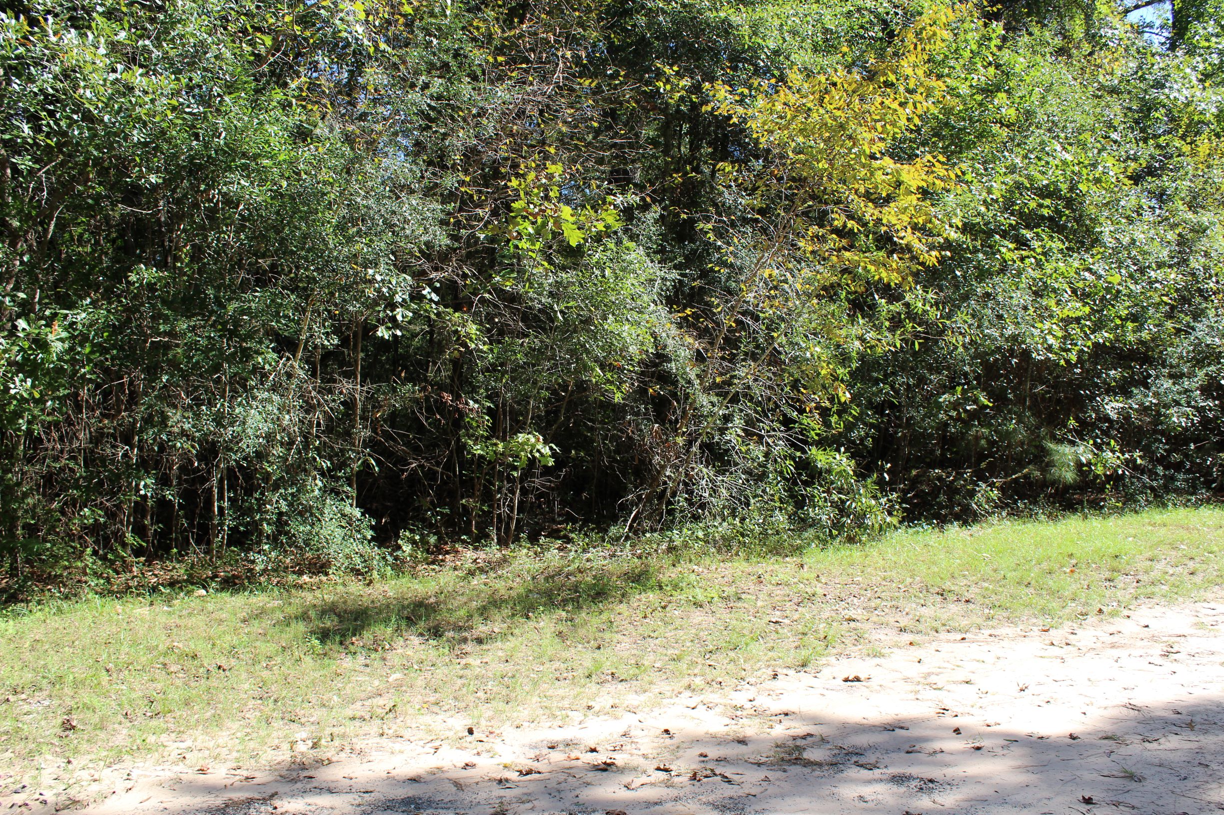 3 Acres Unrestricted Land Ultimate Land Listings