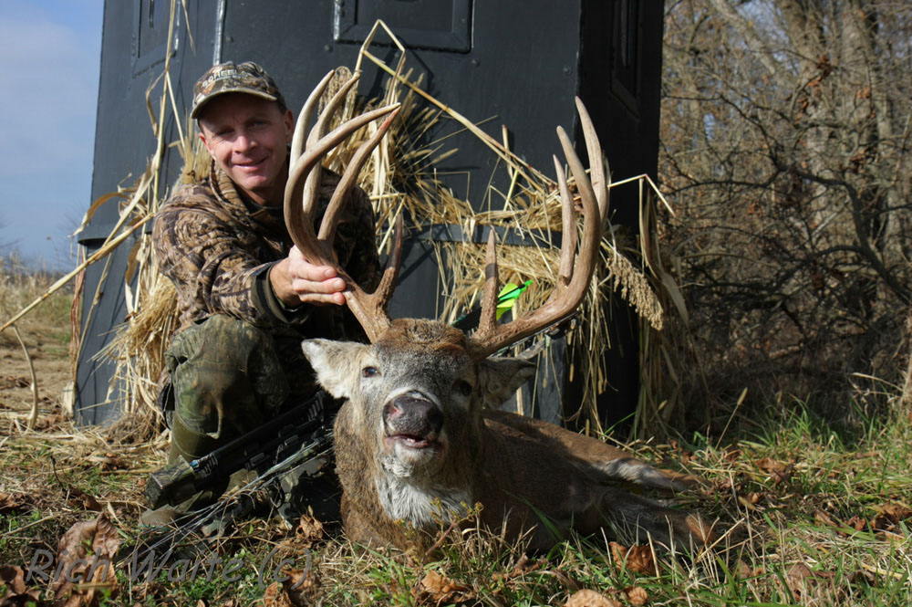 Picture of big Iowa whitetail buck shot with bow.