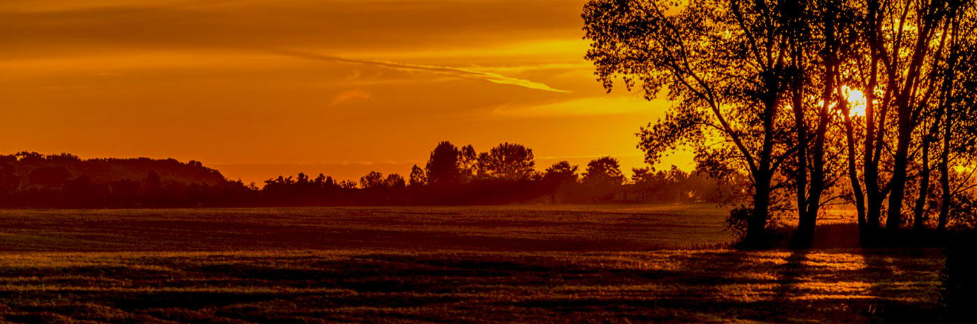 Sunset view over field. Rural land for sale.